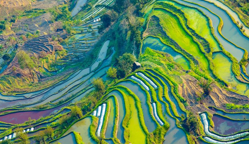 宝妈必备神器：高淳区产品视频拍摄轻松育儿好帮手